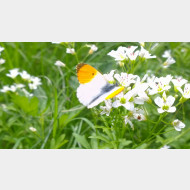 WP 20150430 14 07 23 Pro 1