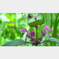 WP 20150502 10 24 13 Pro 1