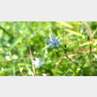 WP 20140829 09 26 25 Pro