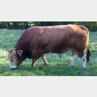 WP 20141018 09 58 59 Pro Stier