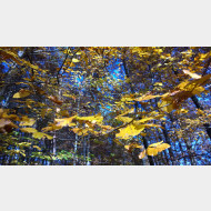 WP 20141110 14 15 14 Pro highres