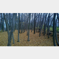 WP 20141116 09 48 07 Pro