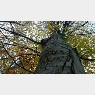 WP 20141116 09 53 15 Pro