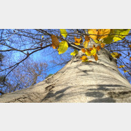 WP 20141122 10 42 59 Pro