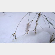 WP 20141228 09 20 49 Pro