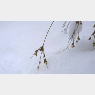 WP 20141228 09 21 03 Pro