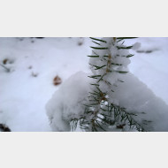 WP 20141228 09 25 15 Pro