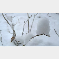 WP 20141228 09 29 05 Pro