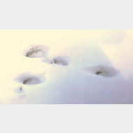 WP 20150102 10 32 48 Pro 1