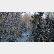 WP 20150105 10 35 33 Pro