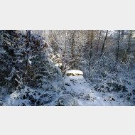 WP 20150105 10 35 50 Pro 1