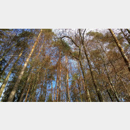 WP 20150110 10 00 13 Pro
