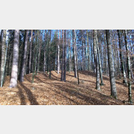 WP 20150110 10 00 20 Pro