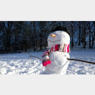 WP 20150131 09 46 46 Pro