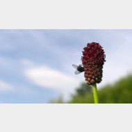 WP 20140705 08 33 53 Pro