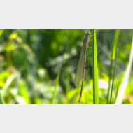 WP 20150604 14 56 18 Pro 1
