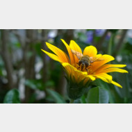 WP 20150620 12 30 26 Pro 1