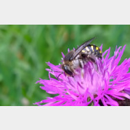WP 20150713 14 09 58 Pro 1a