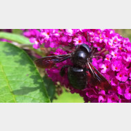 WP 20150713 15 56 14 Pro 1