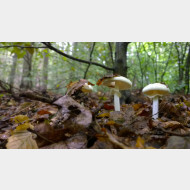 WP 20140910 08 23 08 Pro 1