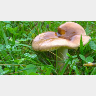 WP 20140914 09 11 49 Pro