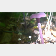 WP 20140917 15 01 49 Pro