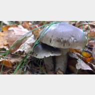 WP 20140926 14 29 37 Pro