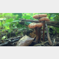 WP 20140929 14 57 16 Pro 1