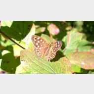WP 20140928 11 40 56 Pro