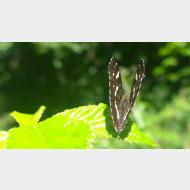 WP 20150628 16 23 43 Pro 1 sommerlandkaertchen