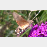 WP 20150724 17 08 37 Pro 1
